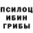 Псилоцибиновые грибы мухоморы re regina
