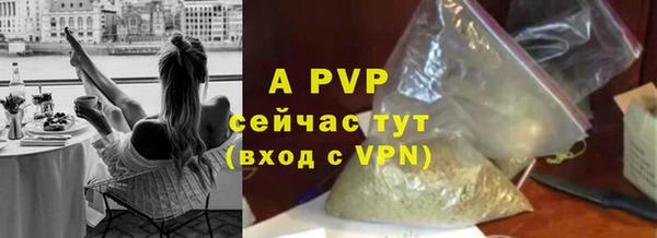 ПСИЛОЦИБИНОВЫЕ ГРИБЫ Вяземский