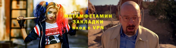 ПСИЛОЦИБИНОВЫЕ ГРИБЫ Вяземский