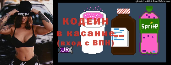 ПСИЛОЦИБИНОВЫЕ ГРИБЫ Вяземский