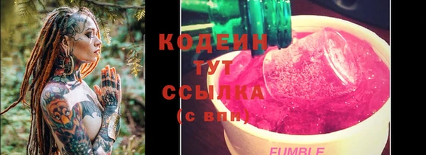 ПСИЛОЦИБИНОВЫЕ ГРИБЫ Вяземский
