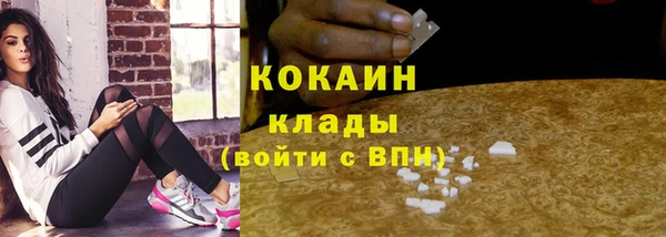 молекула духа Горно-Алтайск
